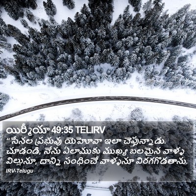 యిర్మీయా 49:35 TELIRV Bible Verse Image