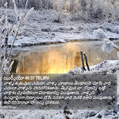 యిర్మీయా 49:37 TELIRV Bible Verse Image