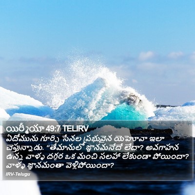 యిర్మీయా 49:7 TELIRV Bible Verse Image