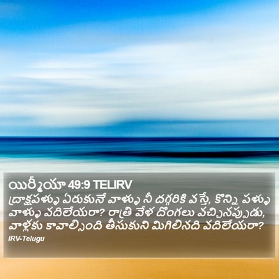 యిర్మీయా 49:9 TELIRV Bible Verse Image