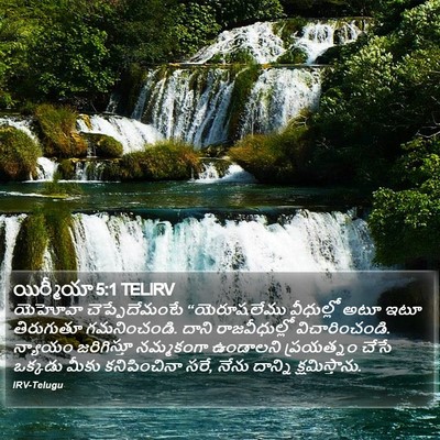 యిర్మీయా 5:1 TELIRV Bible Verse Image