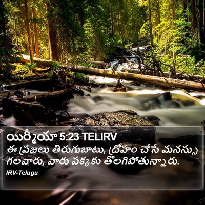 యిర్మీయా 5:23 TELIRV Bible Verse Image