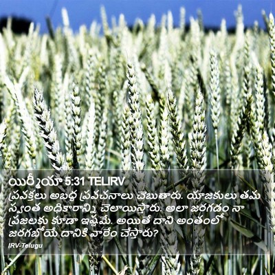యిర్మీయా 5:31 TELIRV Bible Verse Image