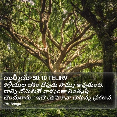 యిర్మీయా 50:10 TELIRV Bible Verse Image