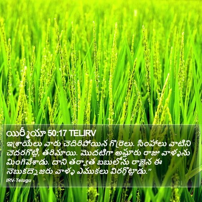 యిర్మీయా 50:17 TELIRV Bible Verse Image
