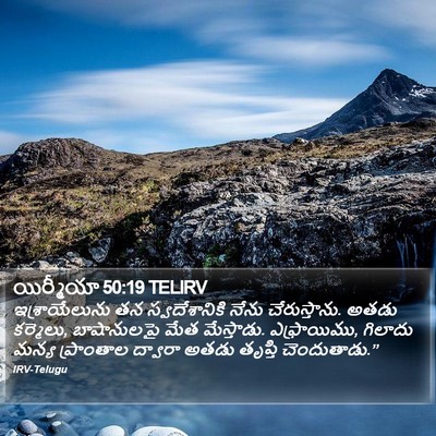 యిర్మీయా 50:19 TELIRV Bible Verse Image