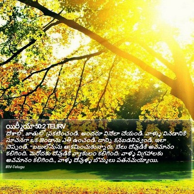 యిర్మీయా 50:2 TELIRV Bible Verse Image