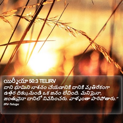 యిర్మీయా 50:3 TELIRV Bible Verse Image
