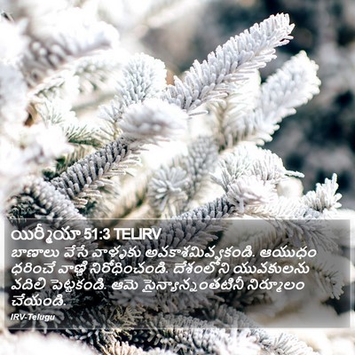 యిర్మీయా 51:3 TELIRV Bible Verse Image