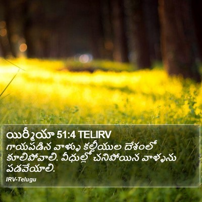 యిర్మీయా 51:4 TELIRV Bible Verse Image