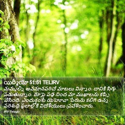 యిర్మీయా 51:51 TELIRV Bible Verse Image