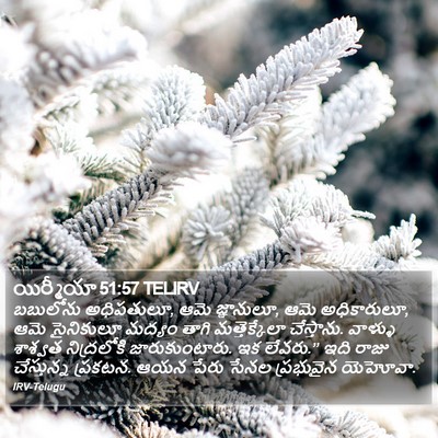 యిర్మీయా 51:57 TELIRV Bible Verse Image
