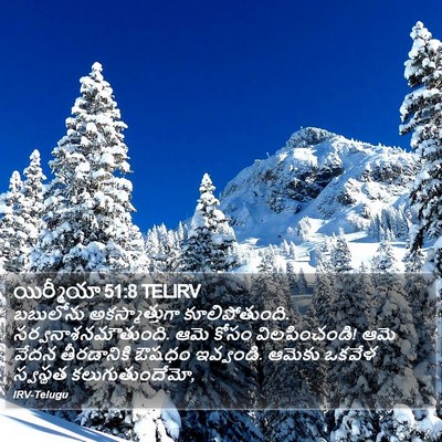 యిర్మీయా 51:8 TELIRV Bible Verse Image