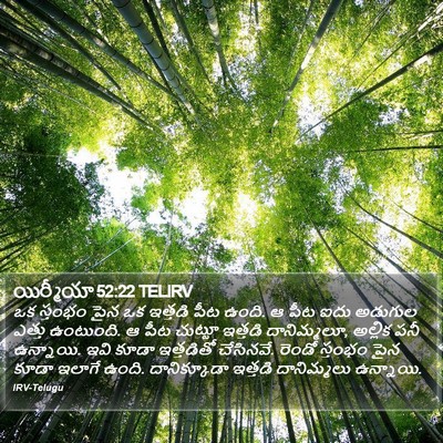 యిర్మీయా 52:22 TELIRV Bible Verse Image