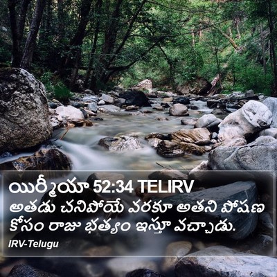 యిర్మీయా 52:34 TELIRV Bible Verse Image