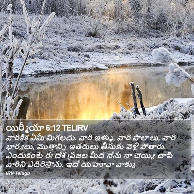 యిర్మీయా 6:12 TELIRV Bible Verse Image