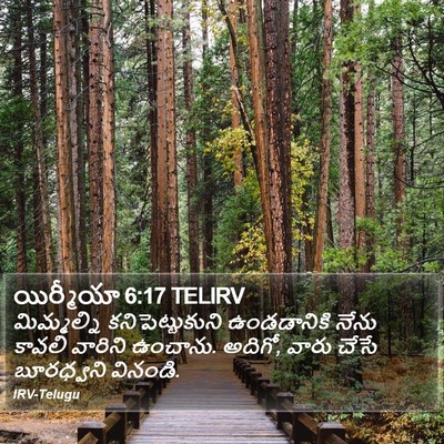 యిర్మీయా 6:17 TELIRV Bible Verse Image