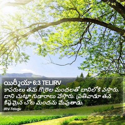 యిర్మీయా 6:3 TELIRV Bible Verse Image