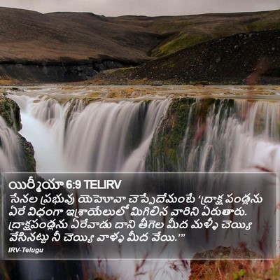 యిర్మీయా 6:9 TELIRV Bible Verse Image