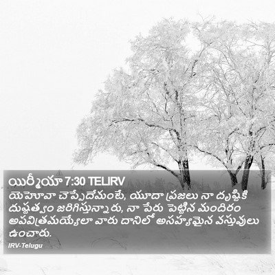 యిర్మీయా 7:30 TELIRV Bible Verse Image