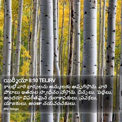 యిర్మీయా 8:10 TELIRV Bible Verse Image