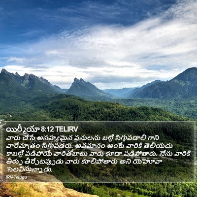 యిర్మీయా 8:12 TELIRV Bible Verse Image