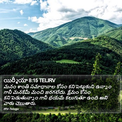 యిర్మీయా 8:15 TELIRV Bible Verse Image