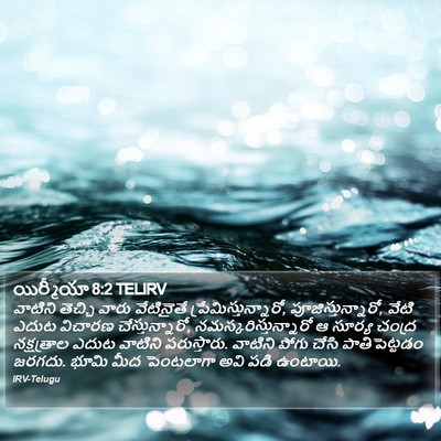 యిర్మీయా 8:2 TELIRV Bible Verse Image