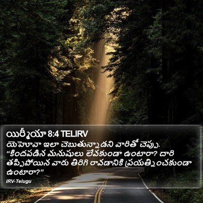 యిర్మీయా 8:4 TELIRV Bible Verse Image
