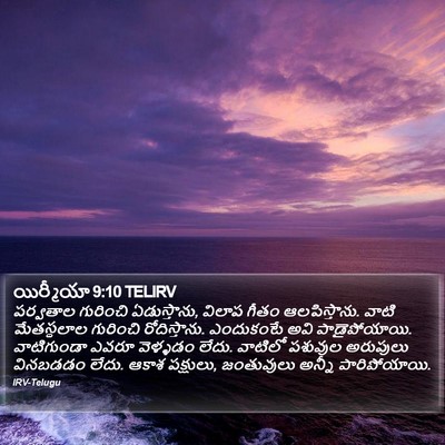యిర్మీయా 9:10 TELIRV Bible Verse Image