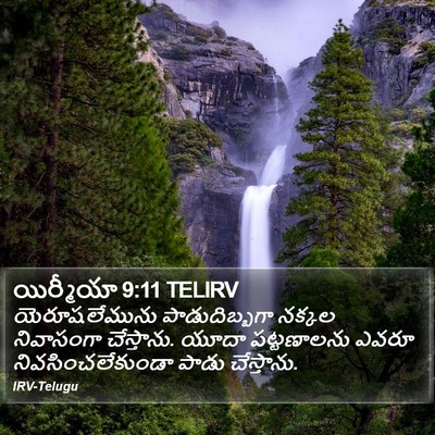 యిర్మీయా 9:11 TELIRV Bible Verse Image