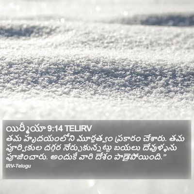 యిర్మీయా 9:14 TELIRV Bible Verse Image
