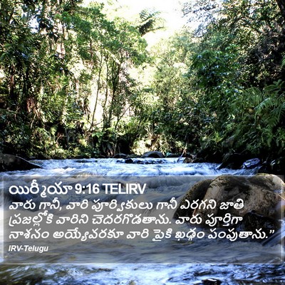 యిర్మీయా 9:16 TELIRV Bible Verse Image