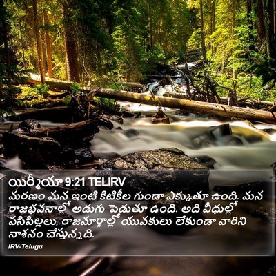 యిర్మీయా 9:21 TELIRV Bible Verse Image