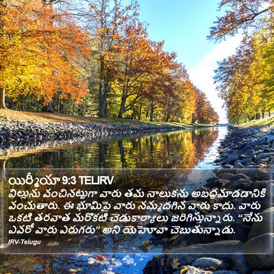 యిర్మీయా 9:3 TELIRV Bible Verse Image