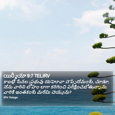 యిర్మీయా 9:7 TELIRV Bible Verse Image
