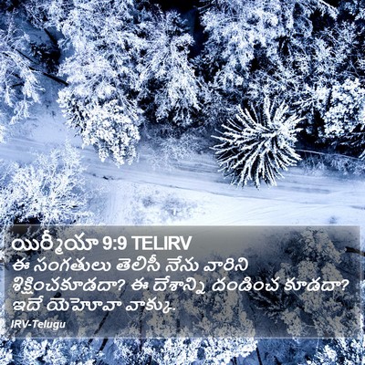 యిర్మీయా 9:9 TELIRV Bible Verse Image