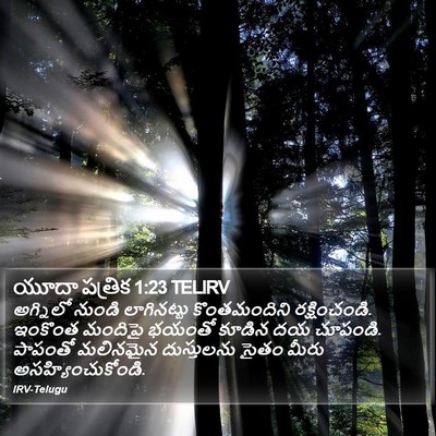 యూదా పత్రిక 1:23 TELIRV Bible Verse Image