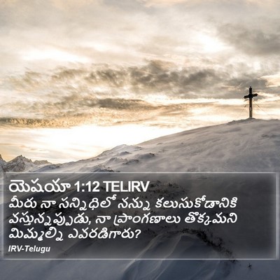 యెషయా 1:12 TELIRV Bible Verse Image