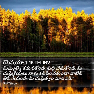 యెషయా 1:16 TELIRV Bible Verse Image