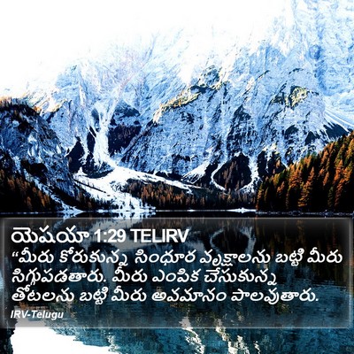 యెషయా 1:29 TELIRV Bible Verse Image