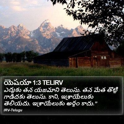 యెషయా 1:3 TELIRV Bible Verse Image