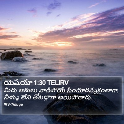 యెషయా 1:30 TELIRV Bible Verse Image