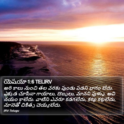 యెషయా 1:6 TELIRV Bible Verse Image