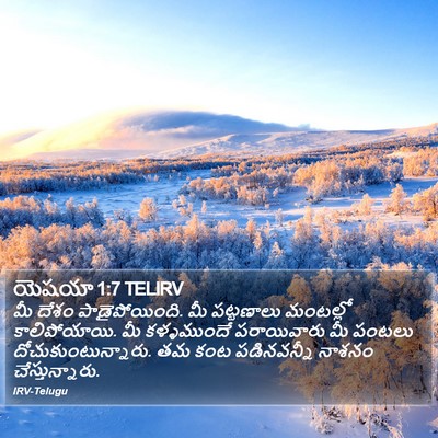 యెషయా 1:7 TELIRV Bible Verse Image