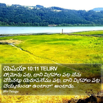 యెషయా 10:11 TELIRV Bible Verse Image