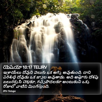 యెషయా 10:17 TELIRV Bible Verse Image