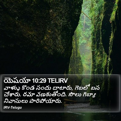 యెషయా 10:29 TELIRV Bible Verse Image