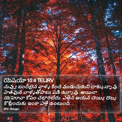 యెషయా 10:4 TELIRV Bible Verse Image