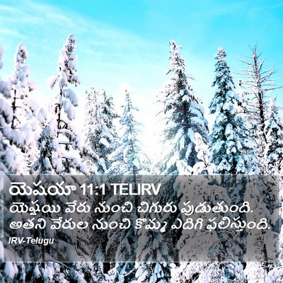 యెషయా 11:1 TELIRV Bible Verse Image